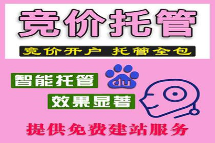 SEM推广代运营公司：助力企业提升广告效果